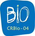 logo-crbio04